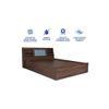 Lavish Center Queen Bed Design 4