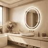 Oval Shape Lighted LED Mirror Modern Vanity Mirror