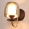Eliante Modern Wall Lights Mild Steel & Glass Material Brown, Gold & Smoke Finish
