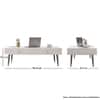 Hexa Engineered Wood Coffee Table With 2 Drawers In Frosty White