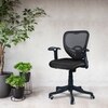 Odrione Low Back Ergonomic Chair in Black Colour
