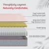 Kurlon Ortho Plus Spring Mattress Medium Firm Pocket Spring Motion Isolation Double 72x48x6 Inch