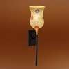 Devansh Metal Electric Wall Light in Black Colour with Multi Shade Count of 1 Light
