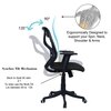 Zeeazyana Mid Back Ergonomic Chair in Black Colour