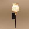 Devansh Metal Electric Wall Light in Black Colour with Multi Shade Count of 1 Light