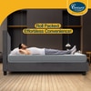 Sleepables Multi Layered  Spring Mattress (72 x 36 in, 8 Inches)