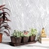 Metal Table Planters With Tray Set Of 4 In Copper And Black Colour