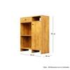 Hexa Red Multipurpose Storage Cabinet With 1 Drawer 1 Door in Giant Wood Colour