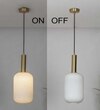 Maloto Frosted White Luster And Brass Hanging Light