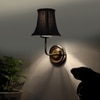 Devansh Steel  Wall Mounted Lamp With Cotton Off Black Shade