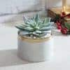 Laura Artificial Plant With Pot