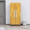 Hexa Red Wooden 2 Door Wardrobe with 4 Shelves in Slate Grey and Giant Wood Colour