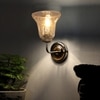 Devansh Steel Electric Wall Light in Steel Colour with Transparent Shade Count of 1 Light