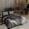 Stoa Paris Super King Size Enriched Cotton Bedsheet with 2 Pillow Covers  Size Night Safari