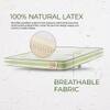 Duroflex LiveIn 100 Latex Medium Firm Natural Latex Mattress King 75x72x10