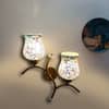 Devansh Metal Electric Wall Light in Gold Colour with Multi Shade Count of 2 Lights