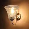 Devansh Steel Electric Wall Light in Steel Colour with Transparent Shade Count of 1 Light