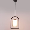Eliante Hanging Light - Champaign Glass Shade, Mild Steel And Wood, 1 Bulb, Modern Pendant Lamp