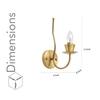 Elena Brass Single Shade Wall Light