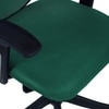 Odrione Low Back Ergonomic Chair in Dark Green Colour