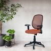 Goolda Low Back Ergonomic Chair in Orange Colour