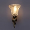 Devansh Metal Electric Wall Light in Antique gold Colour with Transparent Shade Count of 1 Light