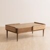 Meadow Solid Wood Coffee Table in Brown Colour