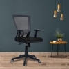 Ebeaony Mid Back Ergonomic Chair in Black Colour