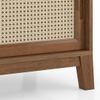 Fujiwara Bookshelf Finish Amber Walnut