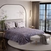 Stoa Paris Super King Size Cotton Bedsheet with 2 Pillow Covers  Size Wisteria Shade Violet