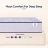Sleepwell Nexa Plus Premium Mattress Medium Firm Resitec Foam Queen Size 72x70x8 in
