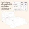 Stoa Paris Super King Bedsheet  Bedsheet, Flirty Red, Mystique Blue