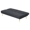 Lebon 3 Seater Sofa Cum Bed In Black Color