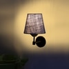 Devansh Metal Electric Wall Light in Black Colour with Blue Shade Count of 1 Light