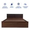 Lush Engineered Wood Queen  Size Bed With Box Storage (Walnut Finish)