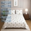 Eon White Floral 400 TC Cotton Flat Single Size Bedsheet with 2 Pillow Covers – Threads