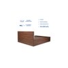 Citta Engineered Wood Queen Size Bed In Walnut Finish