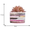 Sucullent Artificial Plant With Horizontal Multicolored Stripes Along With Pot