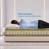Sleepwell Ortho Pro Spring Mattress Medium Firm Queen 84x66x10 Inch