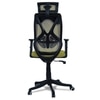 Zeeazyana High Back Ergonomic Chair in Pearl Green Colour