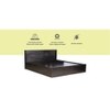 Themis Engineered Wood King  Size Bed With Drawer Storage (Melamine Finish)