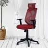 Zeeazyana High Back Ergonomic Chair in Red Colour