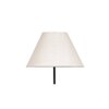 Naia White Natural Fiber Floor Lamp with Black Iron Base