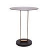Irwin Obsidian Metal Side Table in Black Colour