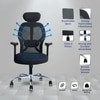 Nova Ergonomic Study Chair