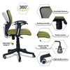 Odrione Low Back Ergonomic Chair in Pearl Green Colour