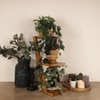 Lyric 3 Tier Shelf & Planter