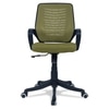 Diicea Mid Back Ergonomic Chair in Pearl Green Colour