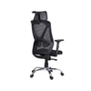 Align X Ergonomic High Back Office Chair in Black Colour