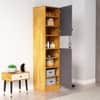 Hexa Red Wooden 2 Door Wardrobe with Hanging Space in Giant Wood and Slate Grey Colour